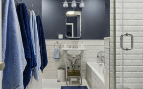 blue and white bathroom