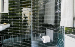 Image of open concept shower and toilet in renovated bathroom