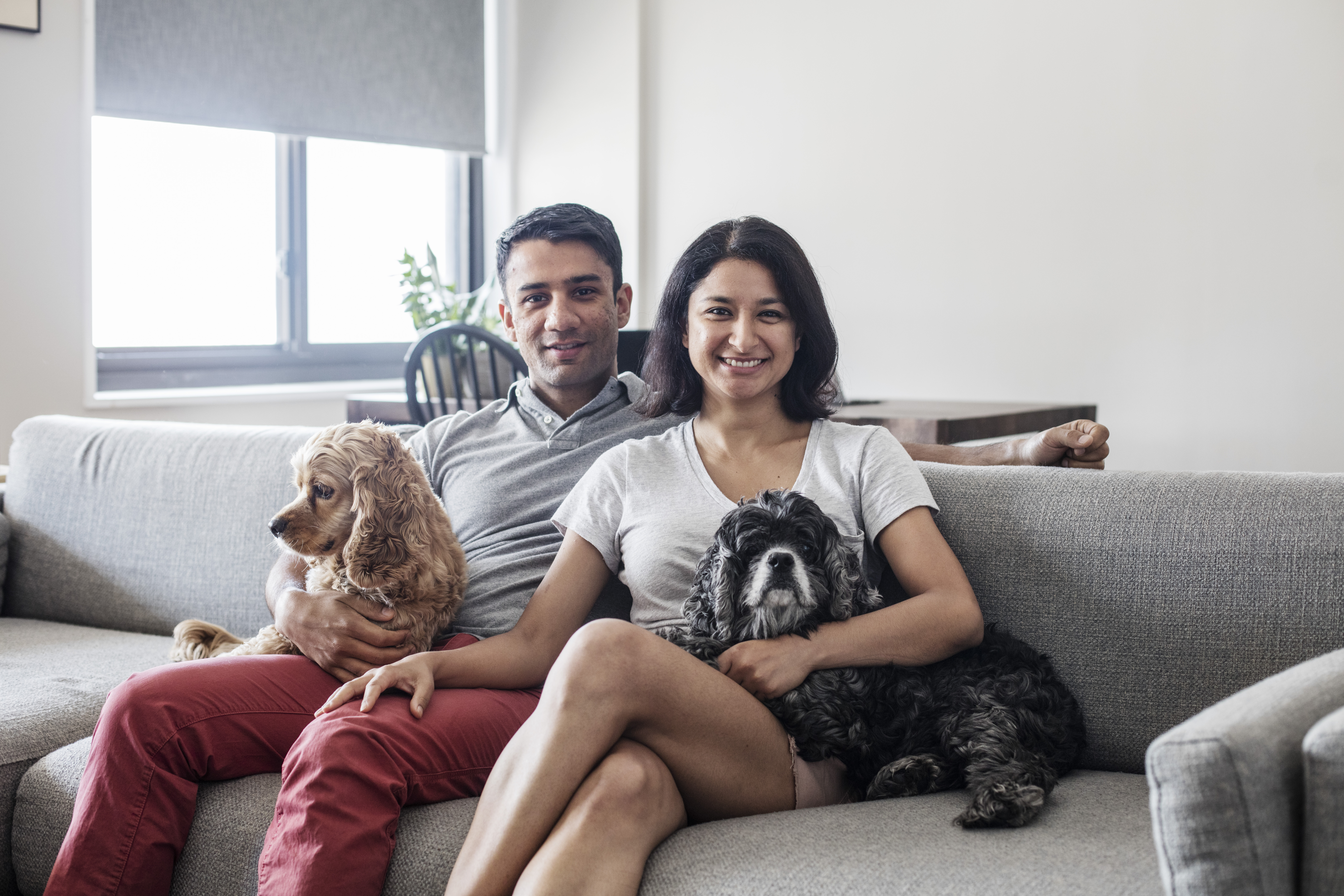 The homeowners relax with their dogs in the living room of their renovated New York City apartment, surrounded by a bright neutral interior.