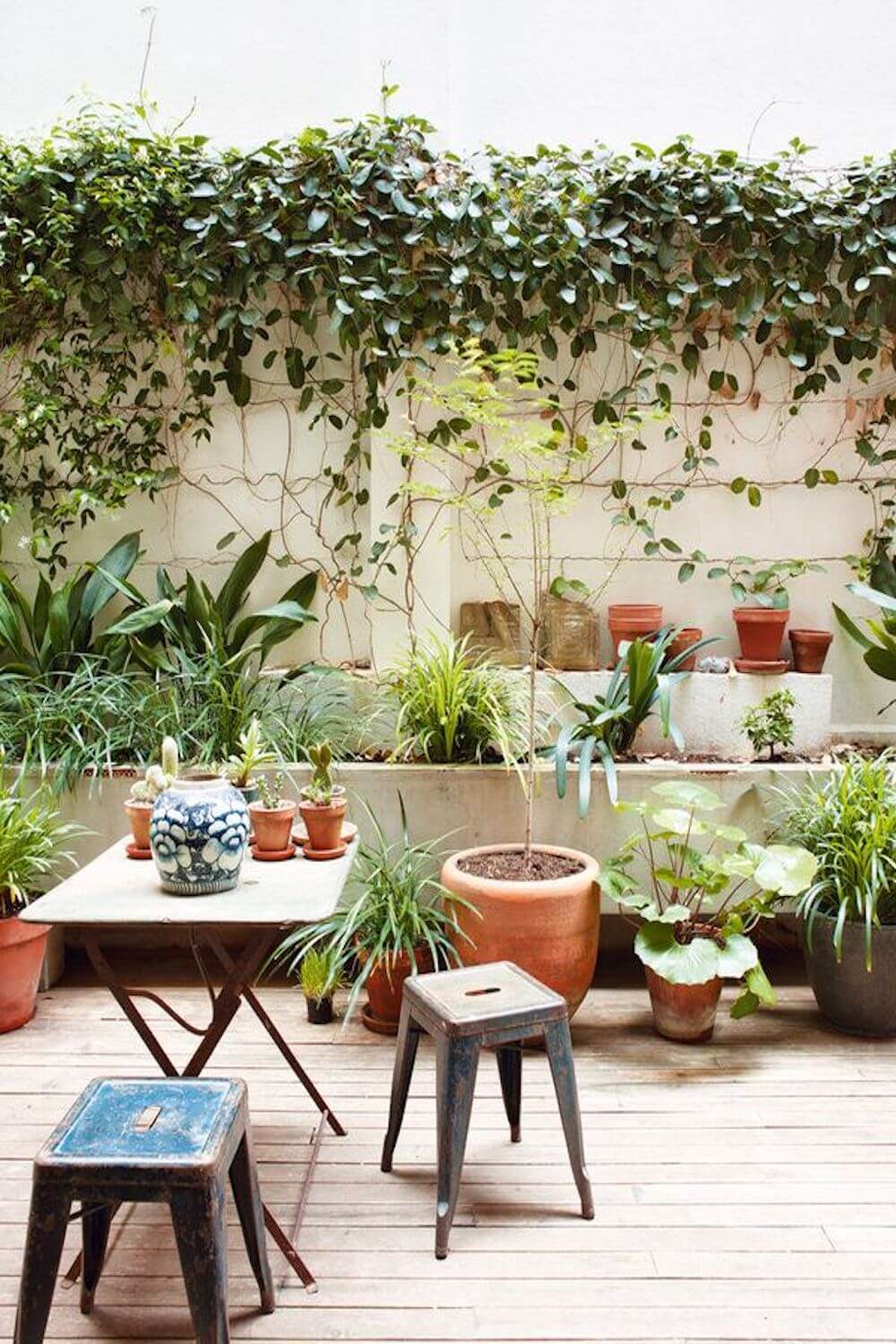 patio with greenery
