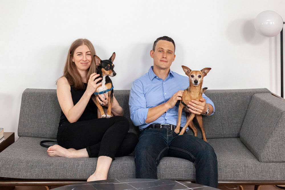 renovators on couch with dogs