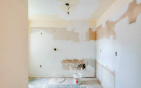 remodel during pandemic