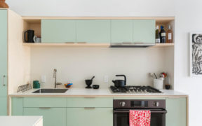 light green kitchen cabinets with white countertop in bronx rowhouse remodel
