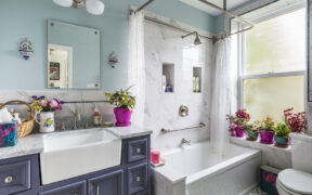 blue vanity with ADA shower