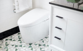 White toilet with art deco floor tiling