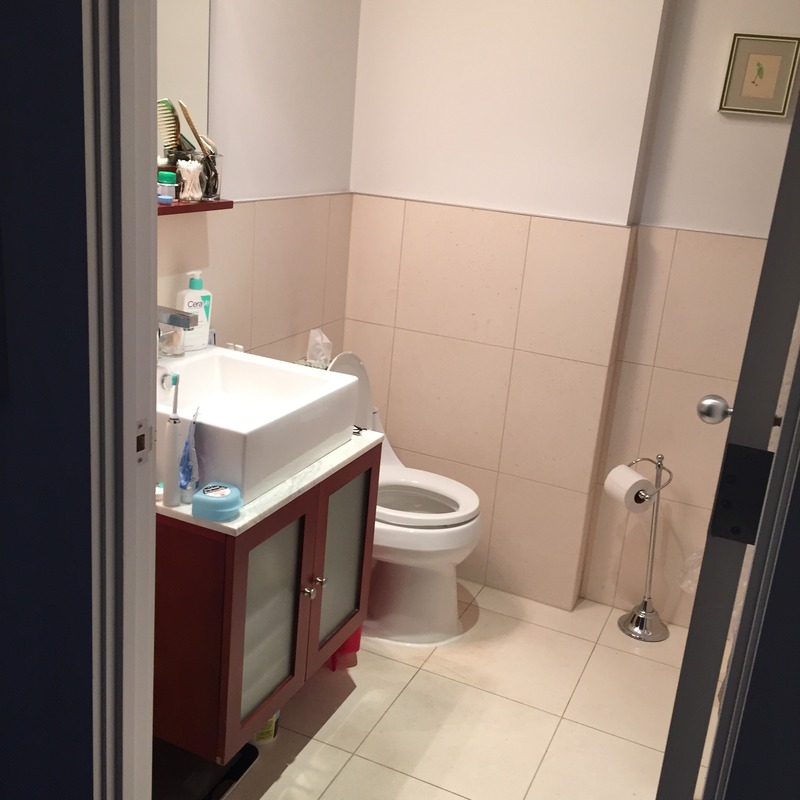 during photo of bathroom in Buckstown resale remodel